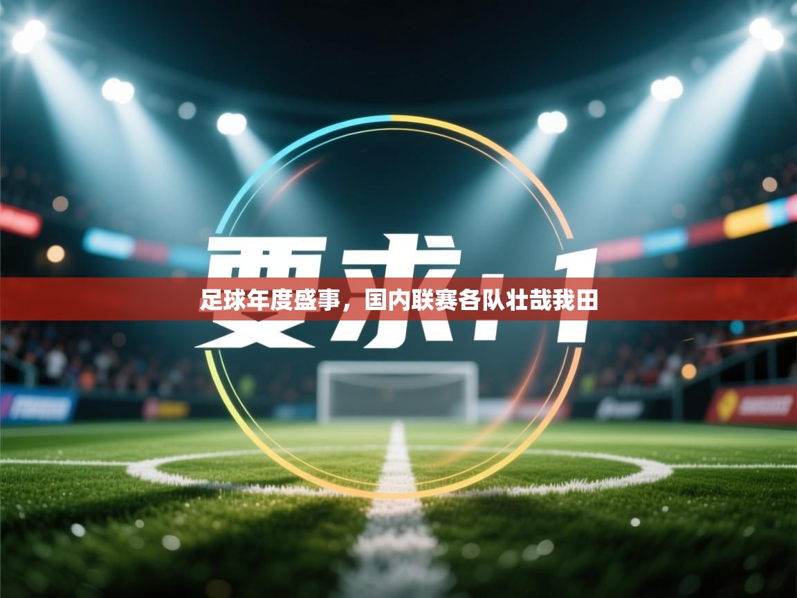 足球年度盛事，国内联赛各队壮哉我田  第1张