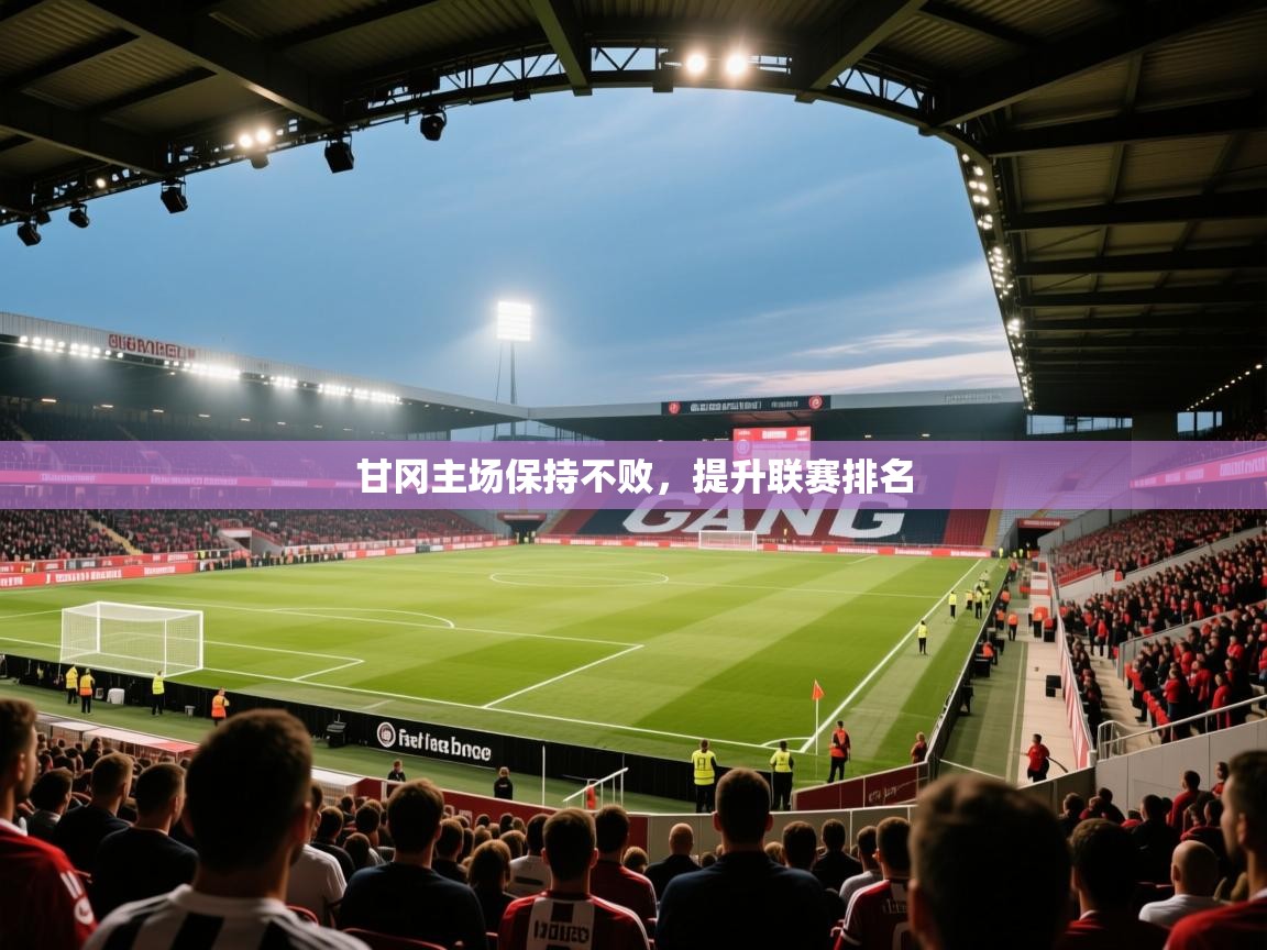 甘冈主场保持不败，提升联赛排名  第2张