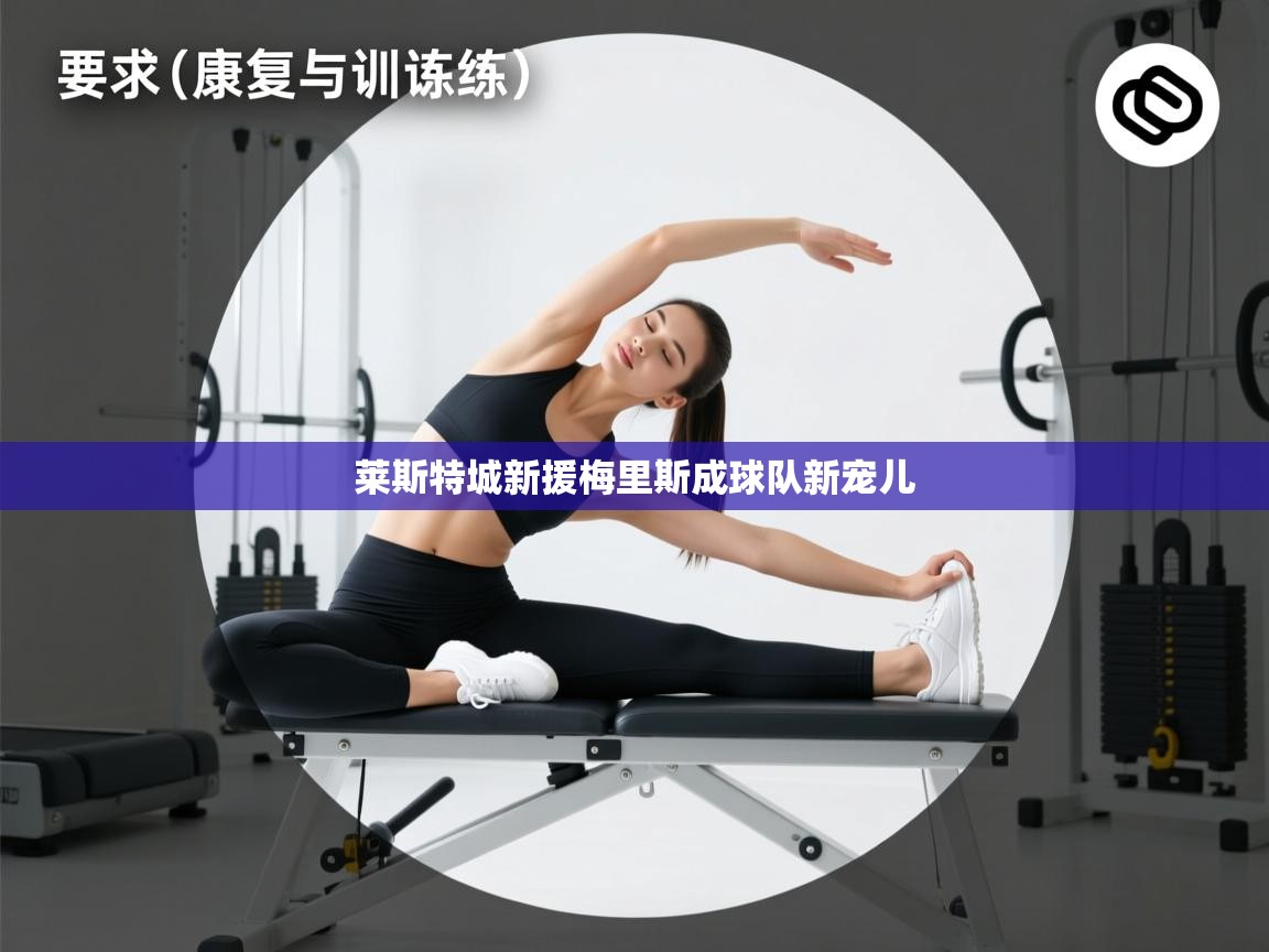 莱斯特城新援梅里斯成球队新宠儿  第1张