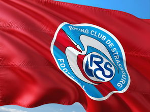 米乐体育官方网站入口-帕尔梅拉斯新援适应良好，世俱杯表现备受期待